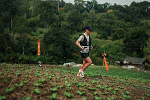 BIB: 
                            <button type="button" onclick="openModal(27024151)" class="btn btn-primary btn-sm float-right btn-popup" data-toggle="modal" data-target=".modal-high-quality">
                        <i class="fas fa-shopping-cart"></i> Add to Cart
                    </button>
                                            <button type="button" onclick="isThisMe(27024151, true)" class="btn btn-success btn-sm float-right btn-popup btn-isme hidden" data-toggle="tooltip" data-placement="bottom" title="นี่คือรูปของคุณใช่ไหม คลิกที่นี่เพื่อเอาเข้าอัลบั้ม">
                        <i class="fas fa-plus"></i> Add to album
                    </button>
                    <button type="button" onclick="isThisMe(27024151, false)" class="btn btn-warning btn-sm float-right btn-popup btn-isnotme hidden">
                        <i class="fas fa-ban"></i> Remove from album
                    </button>